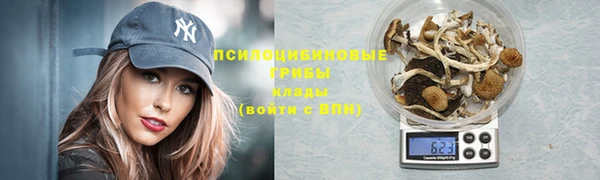 ГАЛЛЮЦИНОГЕННЫЕ ГРИБЫ Алексин