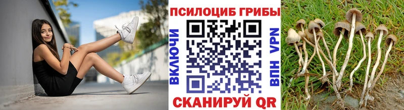 MEGA ссылки  Сасово  Псилоцибиновые грибы Psilocybine cubensis  наркотики 